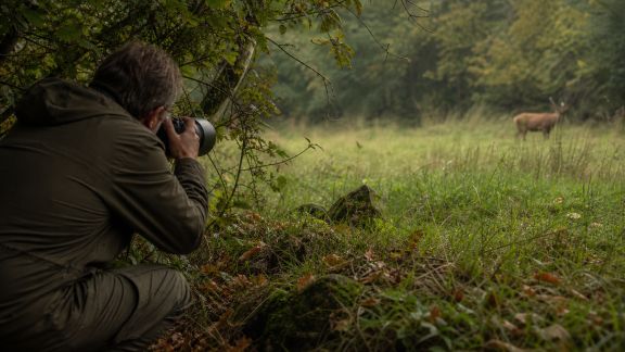 Photographier la faune sans la déranger : techniques adaptées aux randonneurs naturalistes