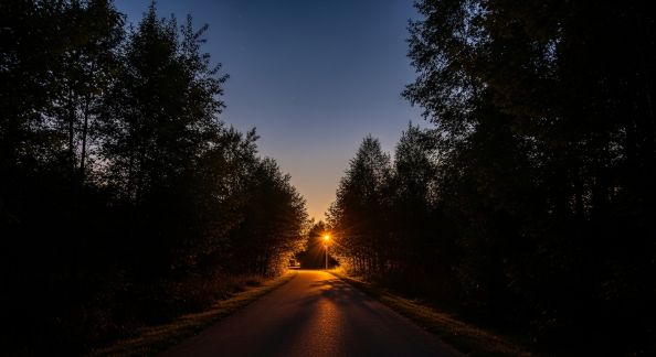 Balades nocturnes : conseils pour explorer la nature à la tombée de la nuit