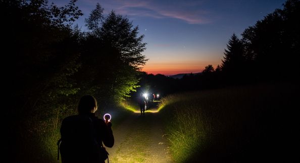 Randonnée nocturne : une expérience insolite à tenter en toute sécurité