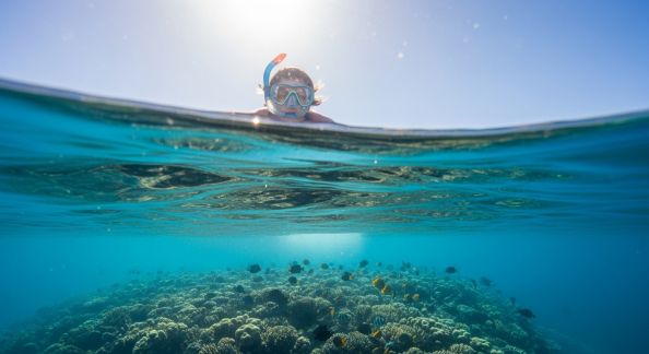 Snorkeling : observer la vie sous-marine sans équipement complexe