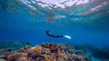 freediving
